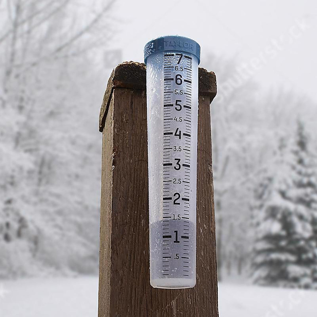Taylor 5293501 Rain Gauge Stake 2 in. W X 12 in. L