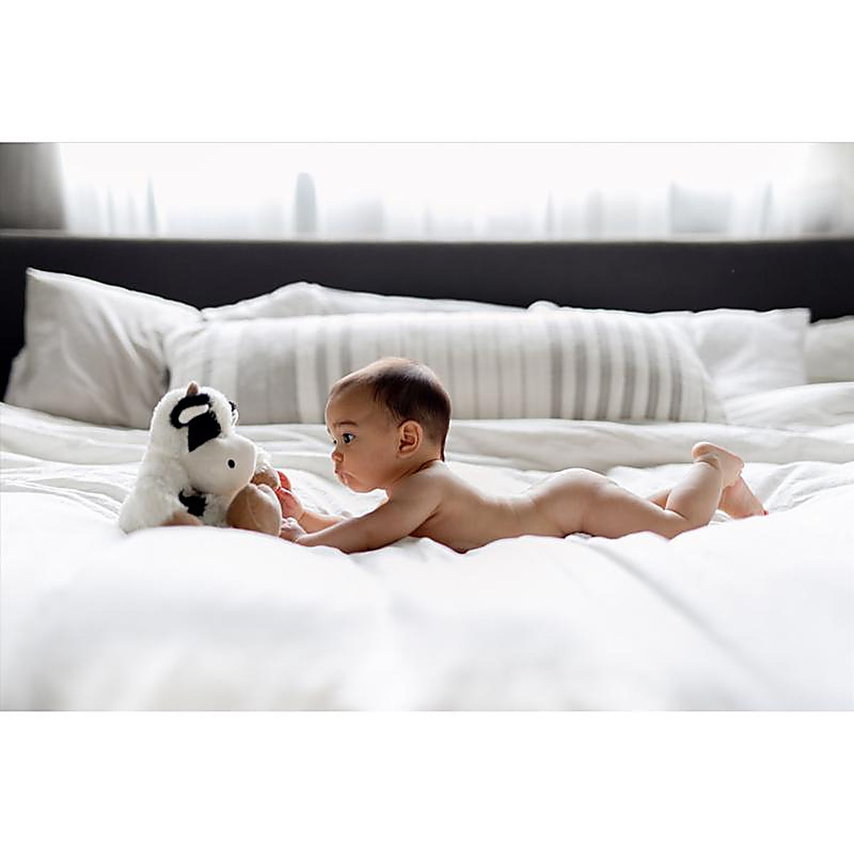 Warmies CP-COW-3 Stuffed Animals Plush Black/White