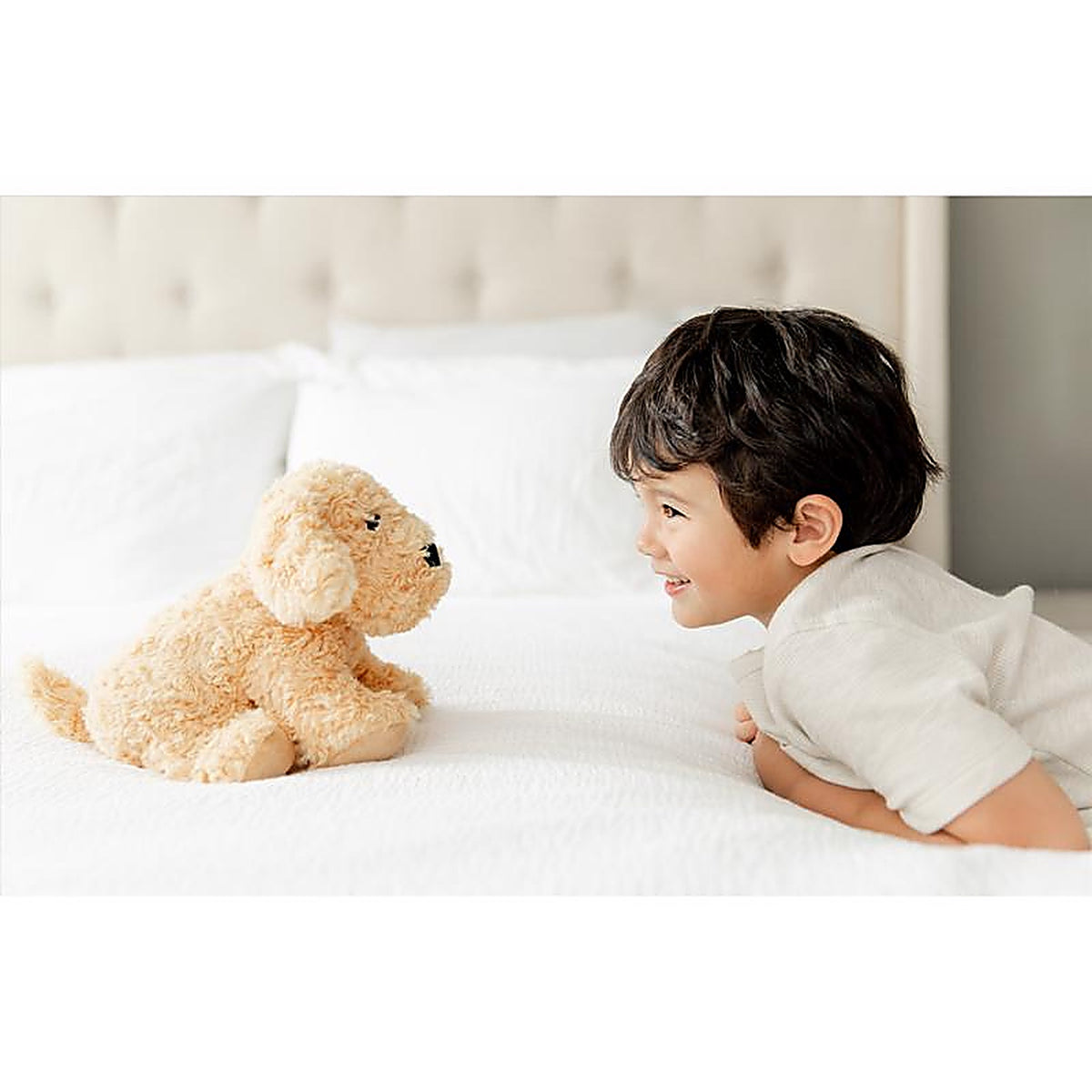 Warmies CP-DOG-3 Stuffed Animals Plush Brown Golden Dog