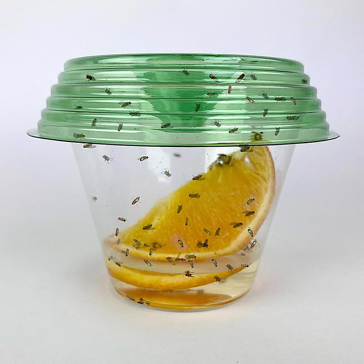 Billy Bob - 41050 - Fly-Lid Fly Trap