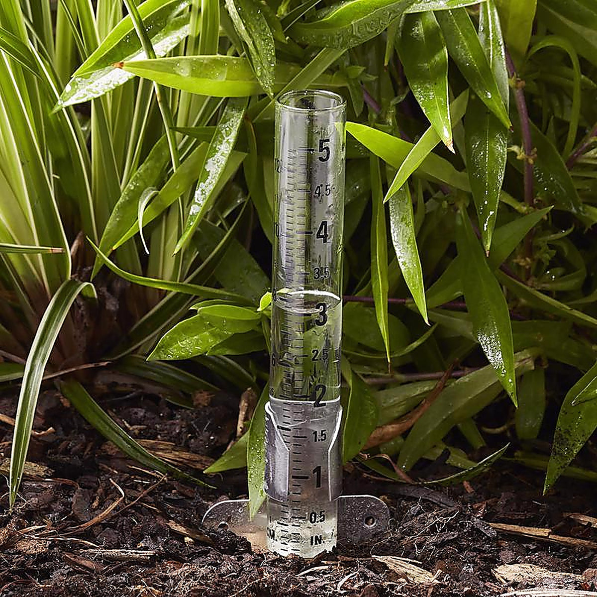 Taylor 2710N Rain Gauge Ground 0.9 in. W x 5.5 in. L