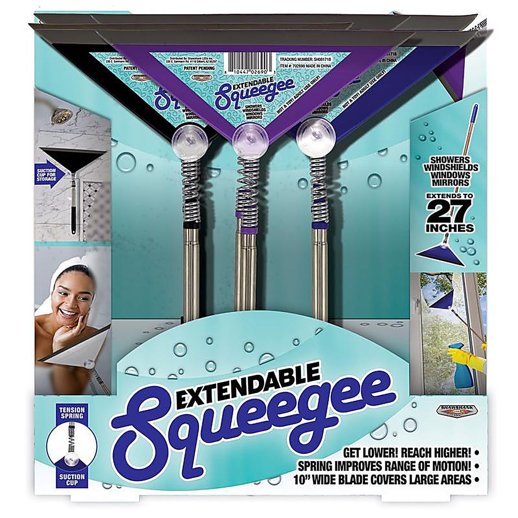 Blazing Ledz - 702690 - 10 In. Stainless Steel Squeegee