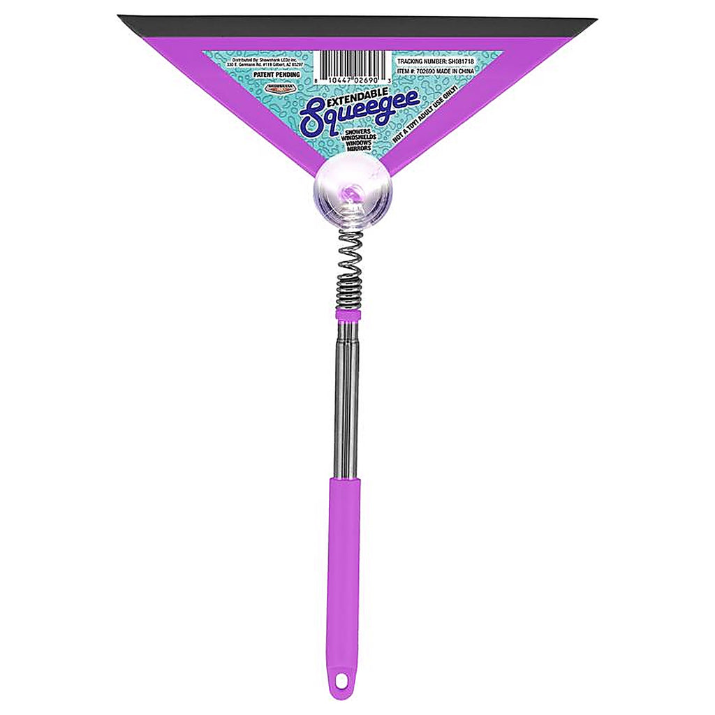 Blazing Ledz - 702690 - 10 In. Stainless Steel Squeegee