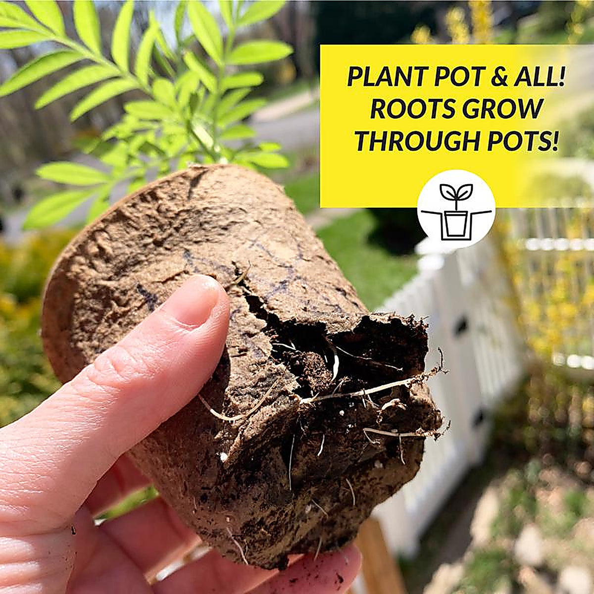Ferry-Morse - FR220B - 23 Cells 2 In. H X 2.25 In. W X 2.25 In. L Seed Starting Peat Pot 23 Pack