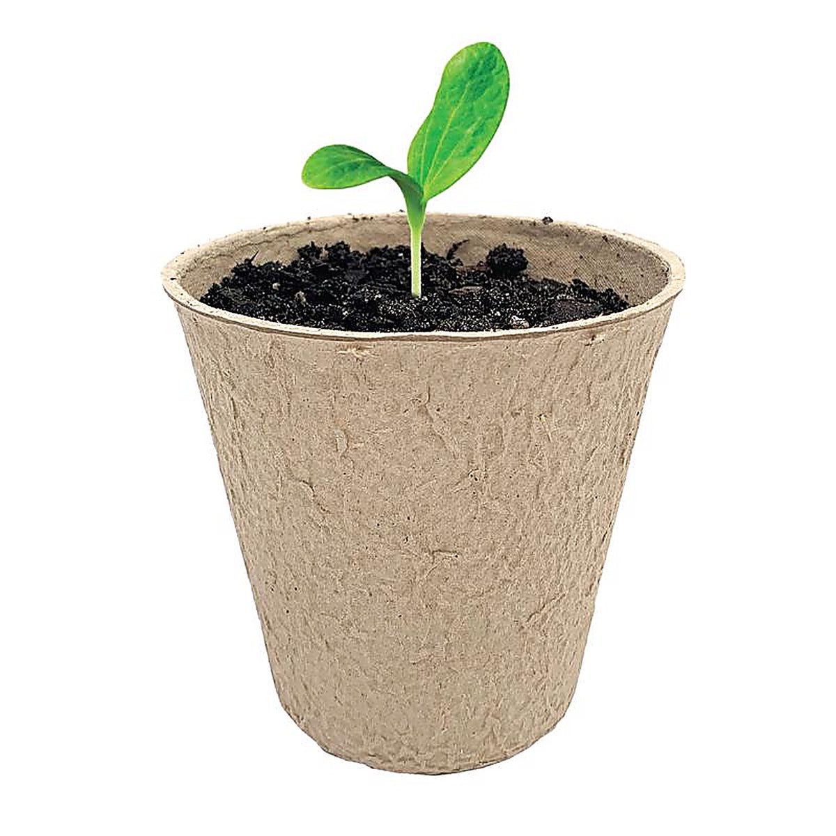 Ferry-Morse - FR312B - 15 Cells 3 In. H X 3 In. W X 3 In. L Seed Starting Peat Pot 15 Pack