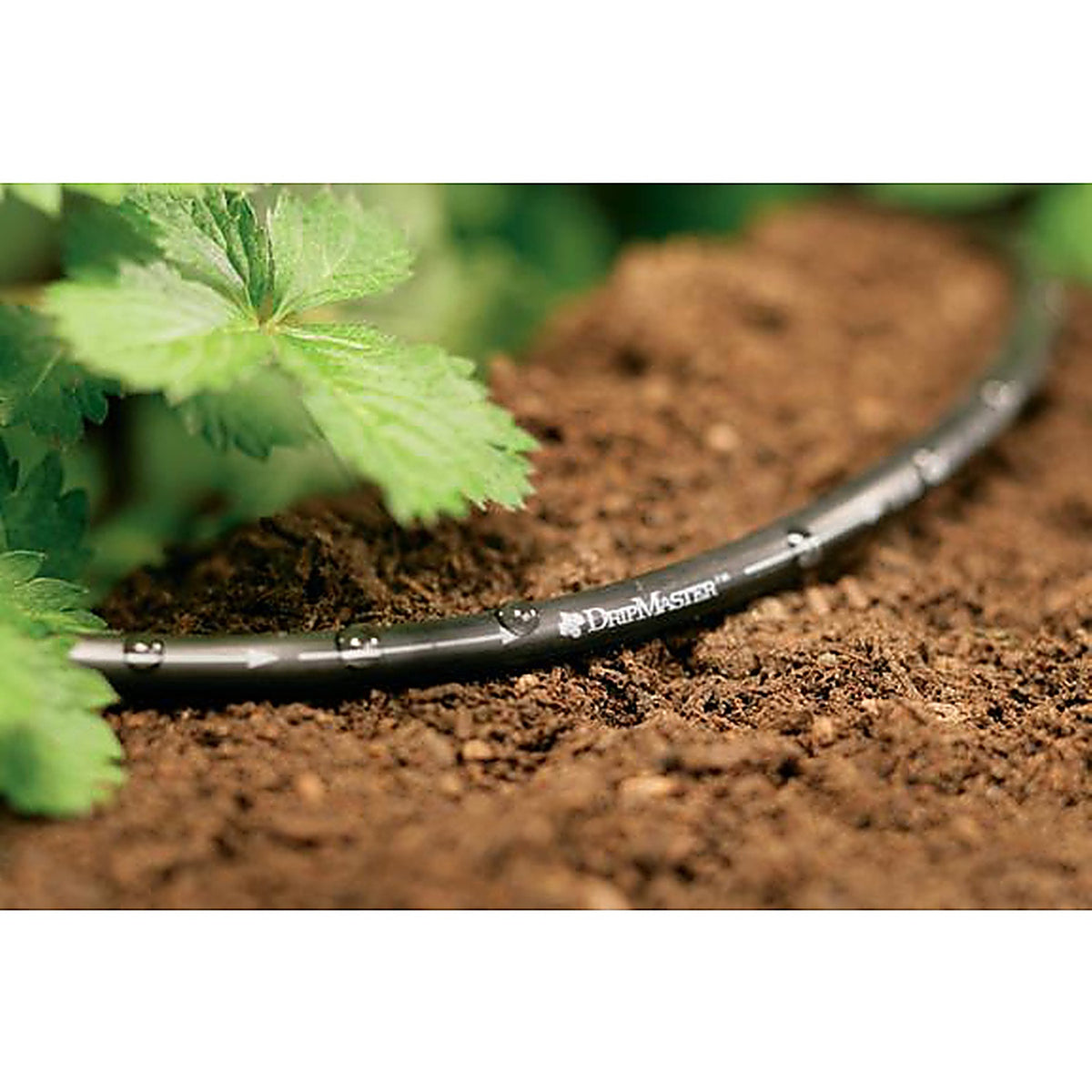 Orbit 67321 Polyethylene Drip Irrigation Soaker Tubing 1/4 in. Dia. x 60 ft. L