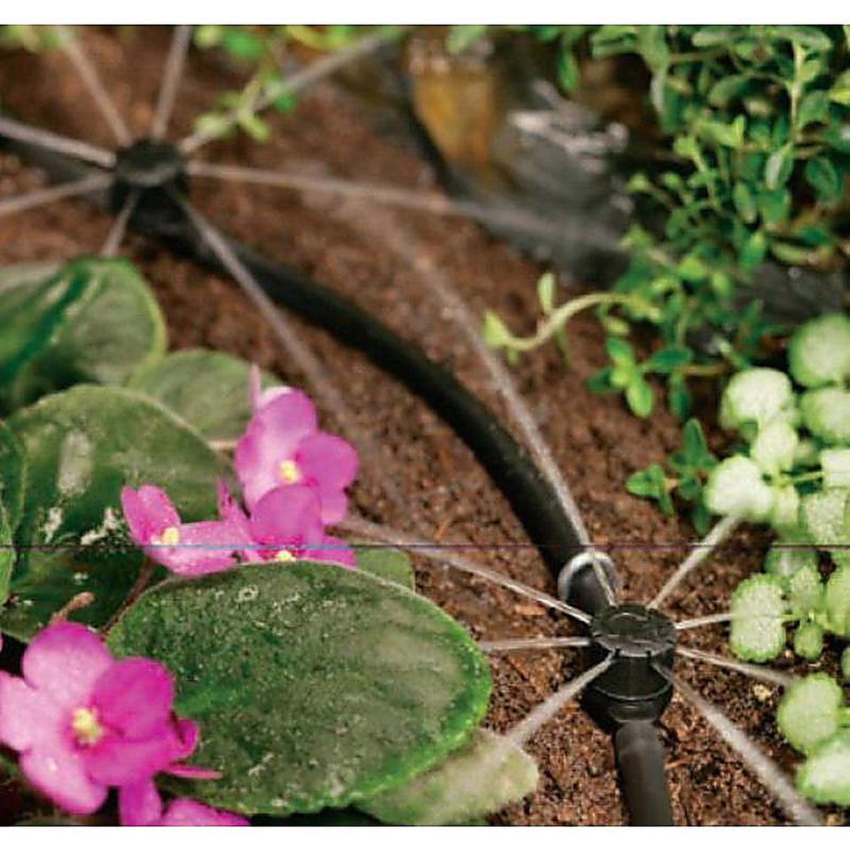 Orbit 67101 Full-Circle Drip Irrigation Emitter 16 gph