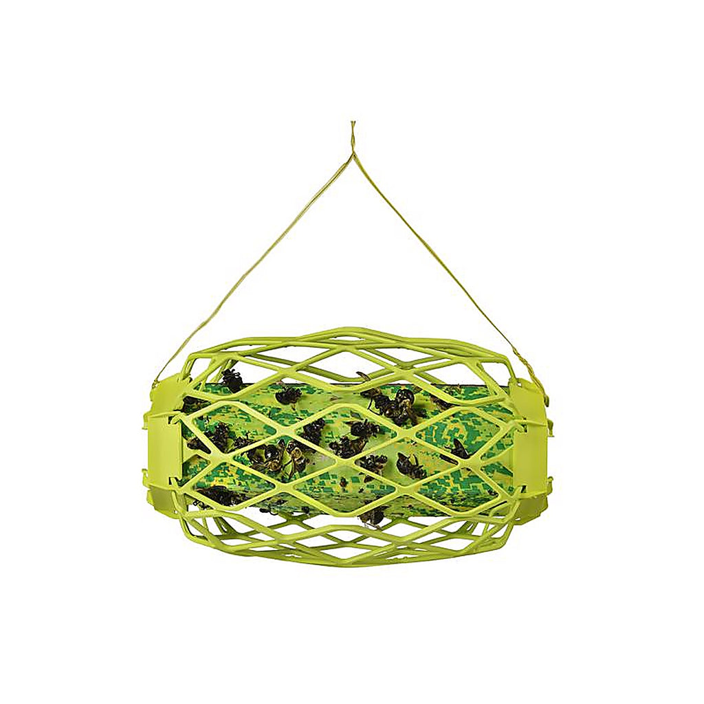 RESCUE CBTS-BB6 TrapStik Insect Trap 1 pk