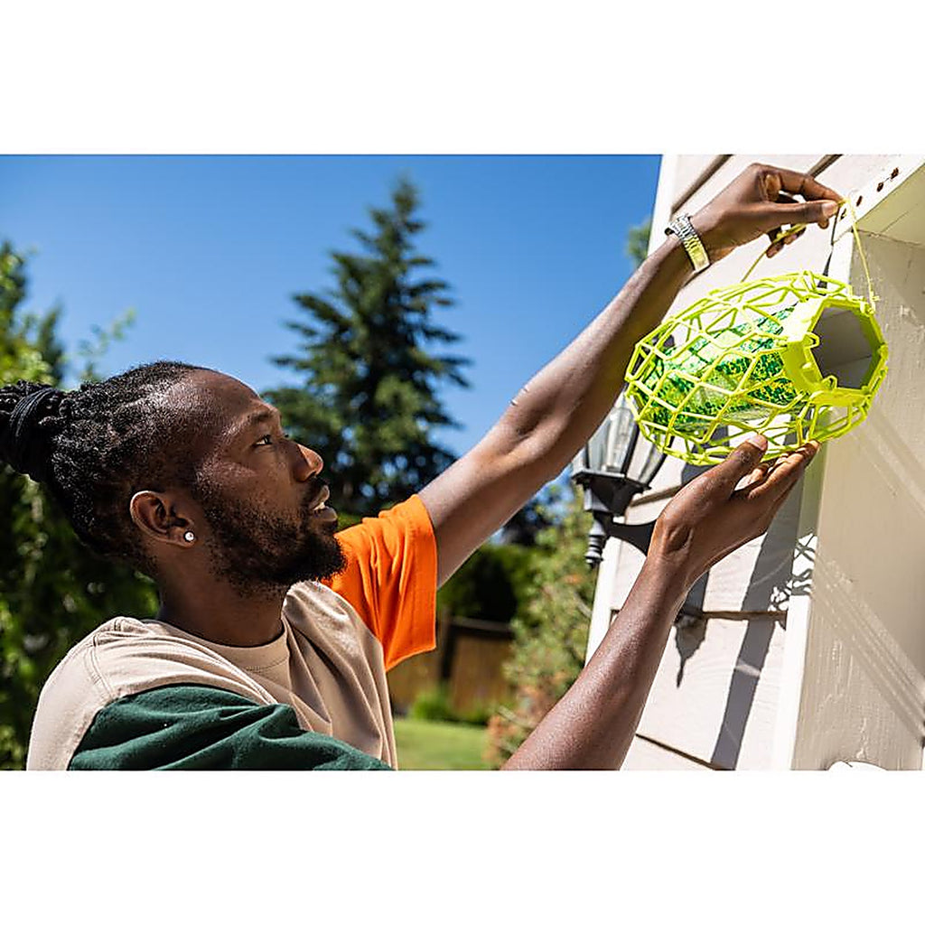 RESCUE CBTS-BB6 TrapStik Insect Trap 1 pk