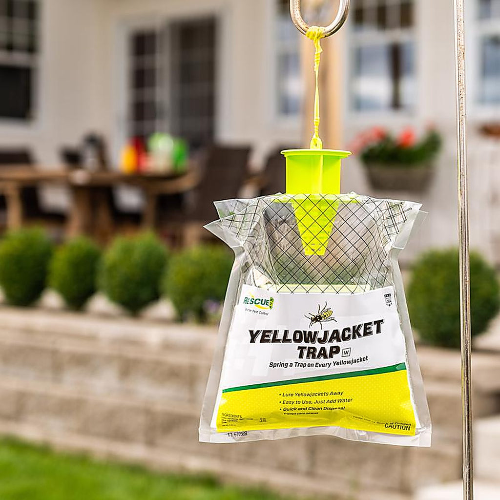 Rescue! - YJTD-DB12-W - Rescue! Yellow Jacket Trap 1 Pack