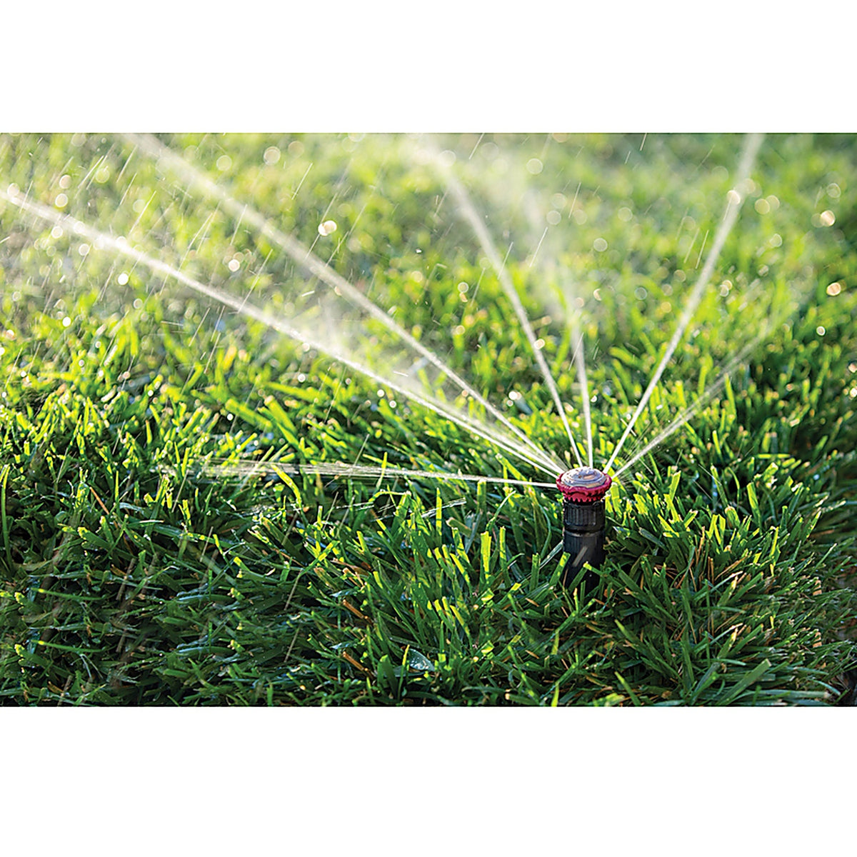Rain Bird - 22SAFPRO - 4 In. H Full-Circle Rotor Pop-Up Sprinkler