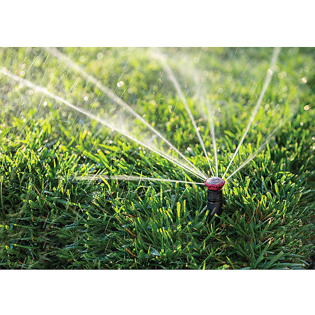 Rain Bird - 22SARVAPRO - 4 In. H Adjustable Rotor Pop-Up Sprinkler