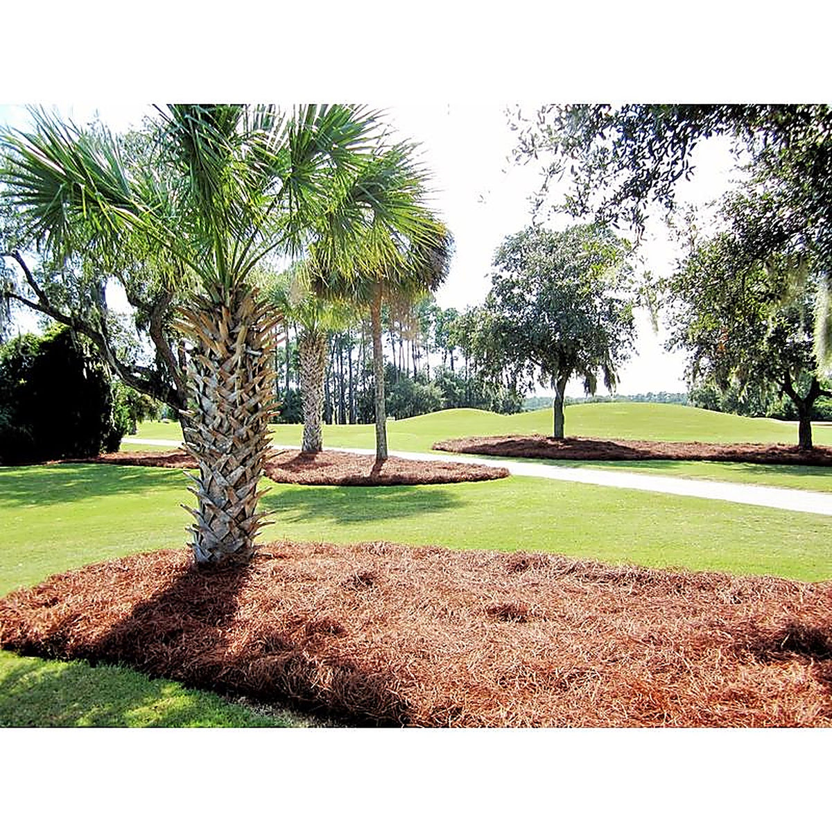 Cleanstraw - 1 - Natural Pine Needles Mulch 2.3 CU Ft