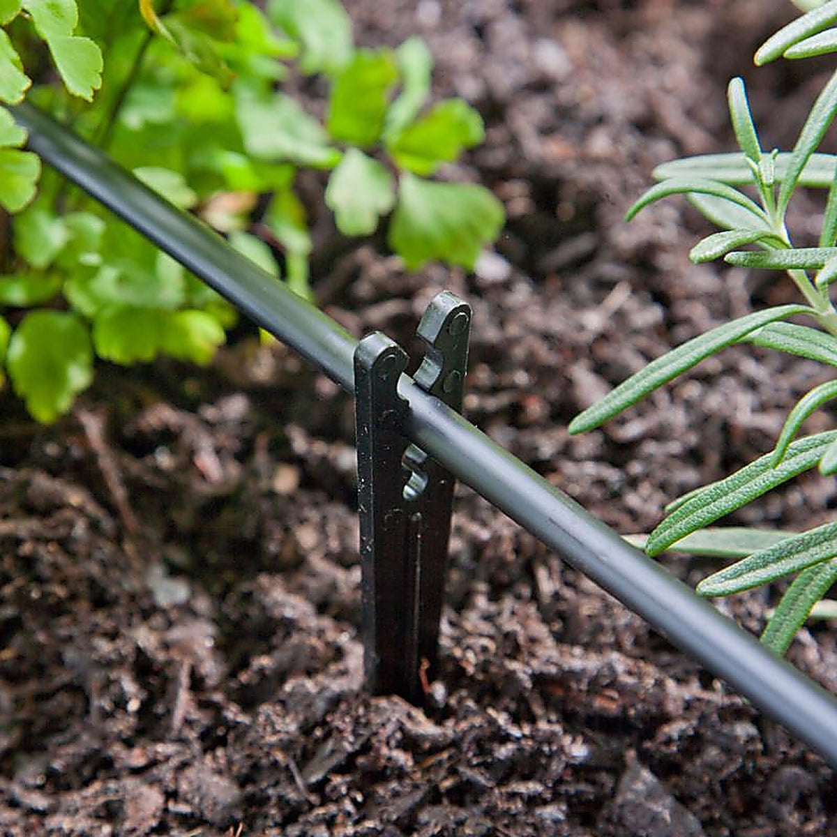 Raindrip 381010B Drip Irrigation Tubing Stake 10/Pack