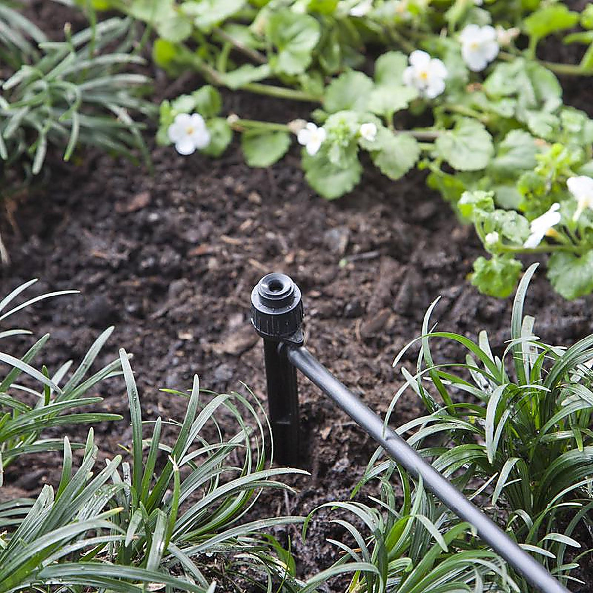 Raindrip 153005B Full-Circle Drip Irrigation Bubbler 20 gph