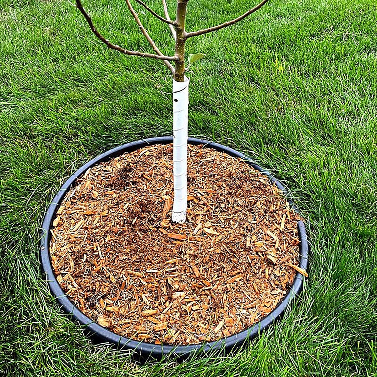 Master Mark - 62524-2 - Treemaster 24 In. H White Plastic Spiral Tree Protector