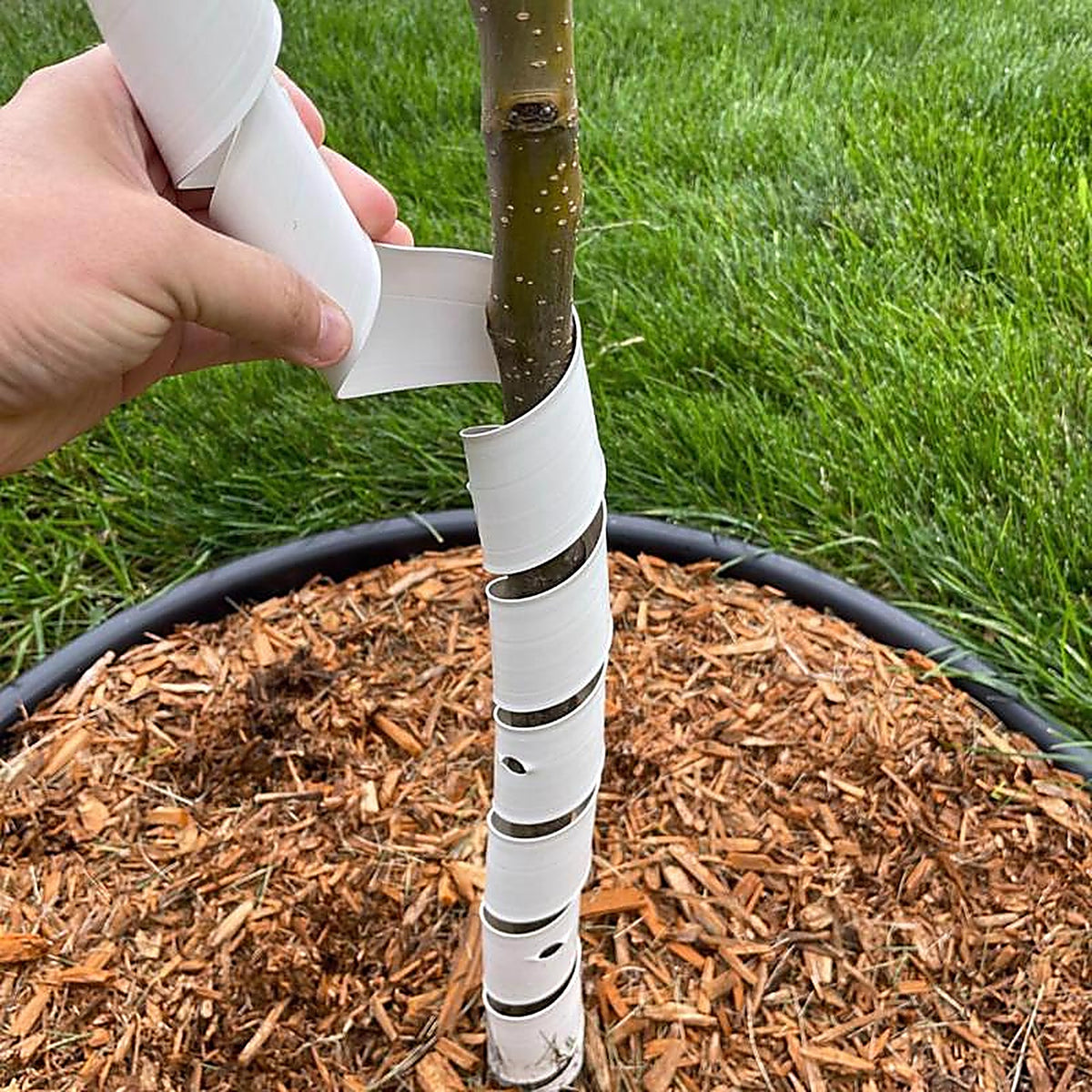 Master Mark - 62524-2 - Treemaster 24 In. H White Plastic Spiral Tree Protector