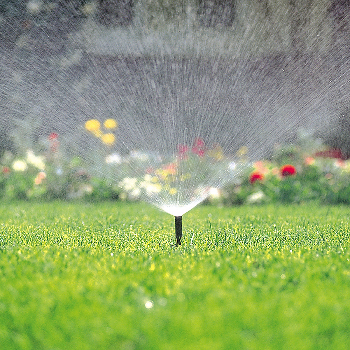 Toro 54815 570 Series 3 in. H Quarter-Circle Pop-Up Spray Head