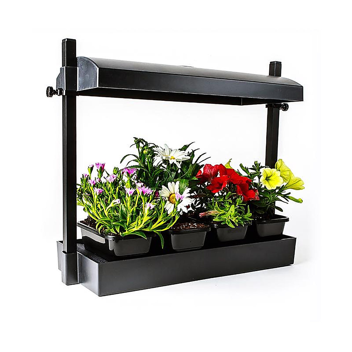 Sunblaster - SL1600218 - LED Hydroponic Grow Light 12 W