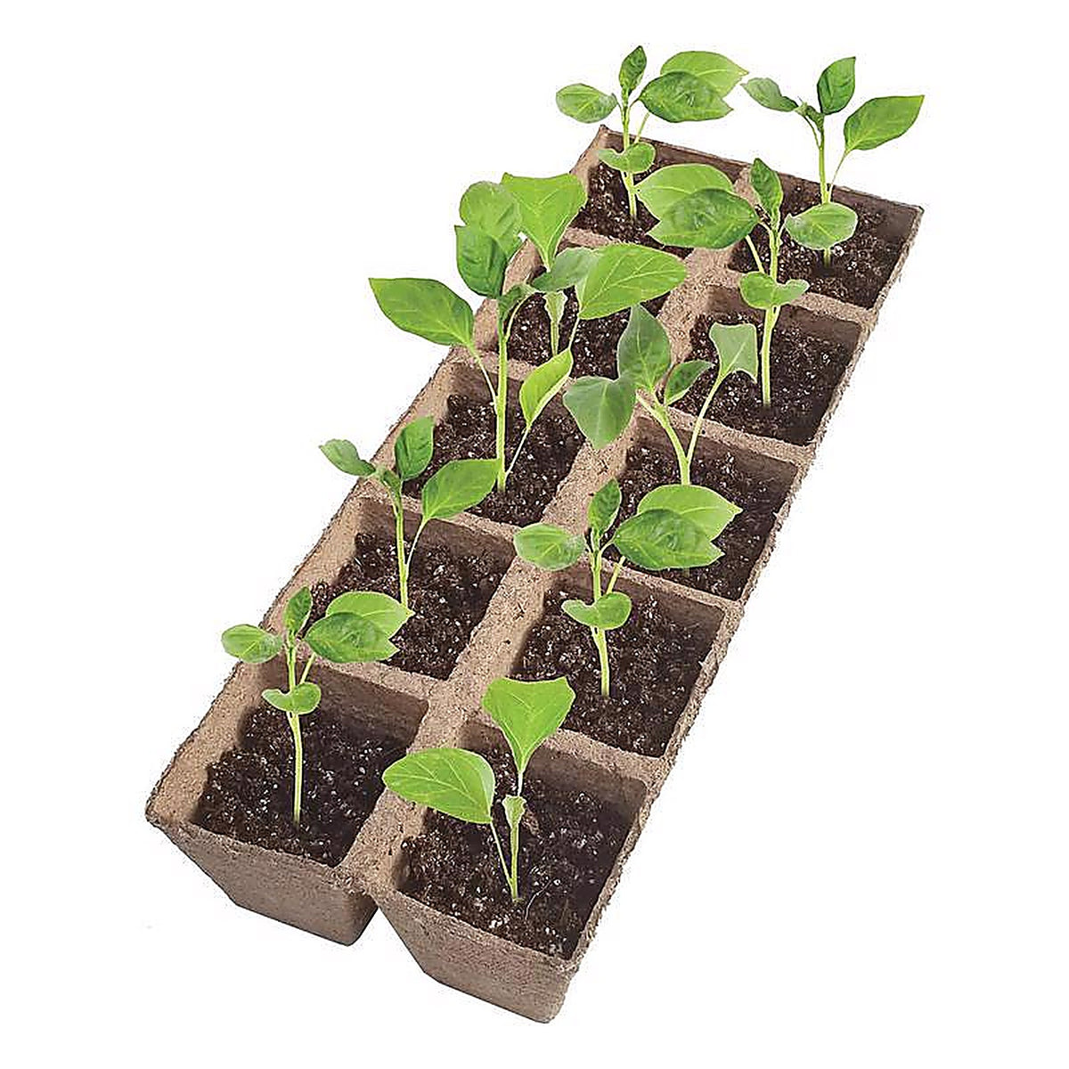Jiffy - TS20HST-14 - 20 Cells Seed Starting Kit 1 Pack