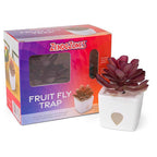 JT Eaton - 1818-MM - Zendozones Fruit Fly Trap 1 Box