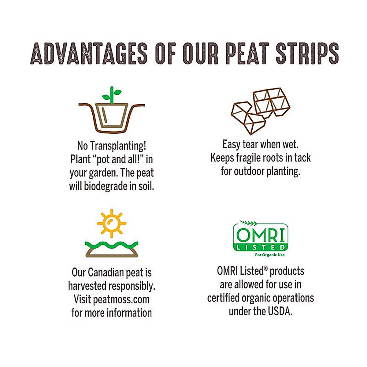 Jiffy - TS50HST-8 - 50 Cells 5.5 In. H X 11 In. W X 21 In. L Seed Starting Kit 1 Pack