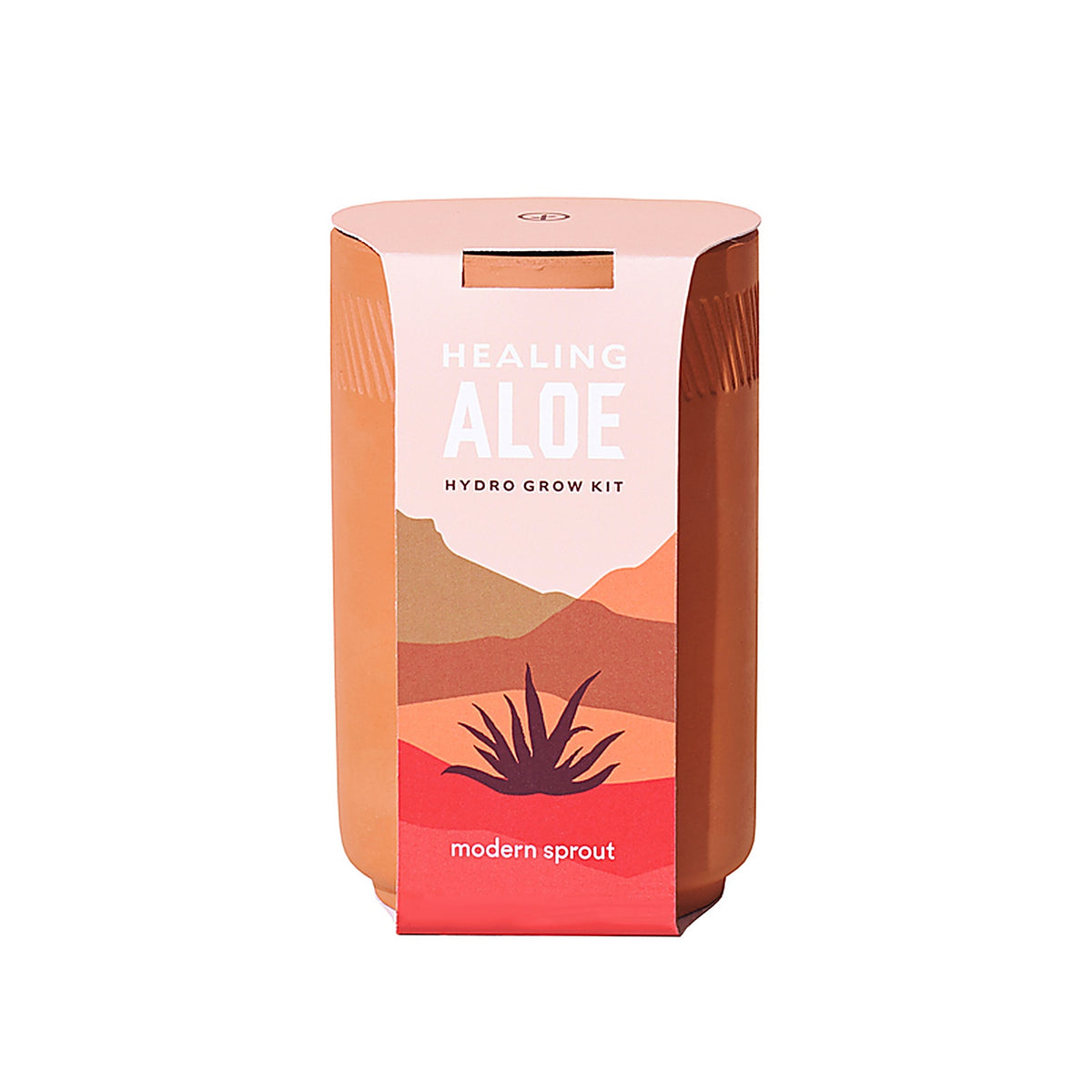 Modern Sprout - MS-TE-1003 - Healing Aloe Succulent Seed Starter Kit