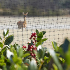Greenscapes 46658 14 ft. L X 14 ft. W Bird Netting