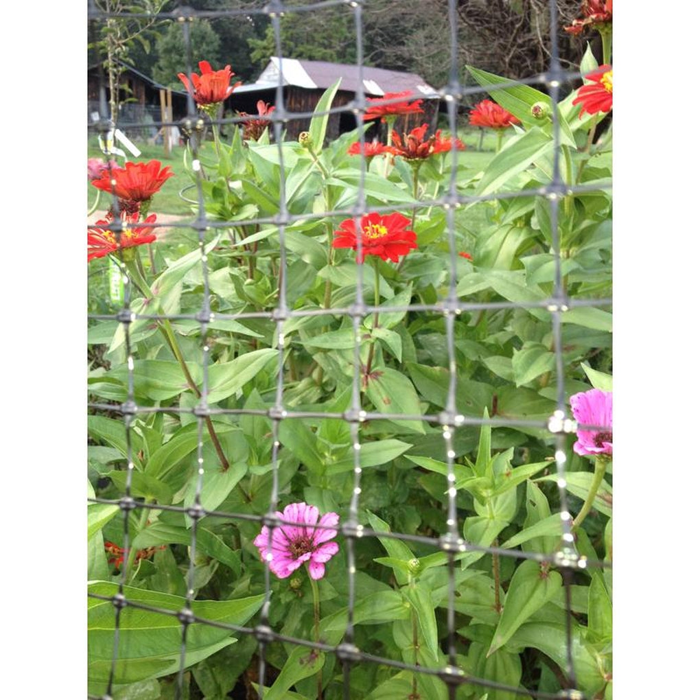 Greenscapes 46638 12 ft. L X 6 ft. W 1 pk Trellis Netting