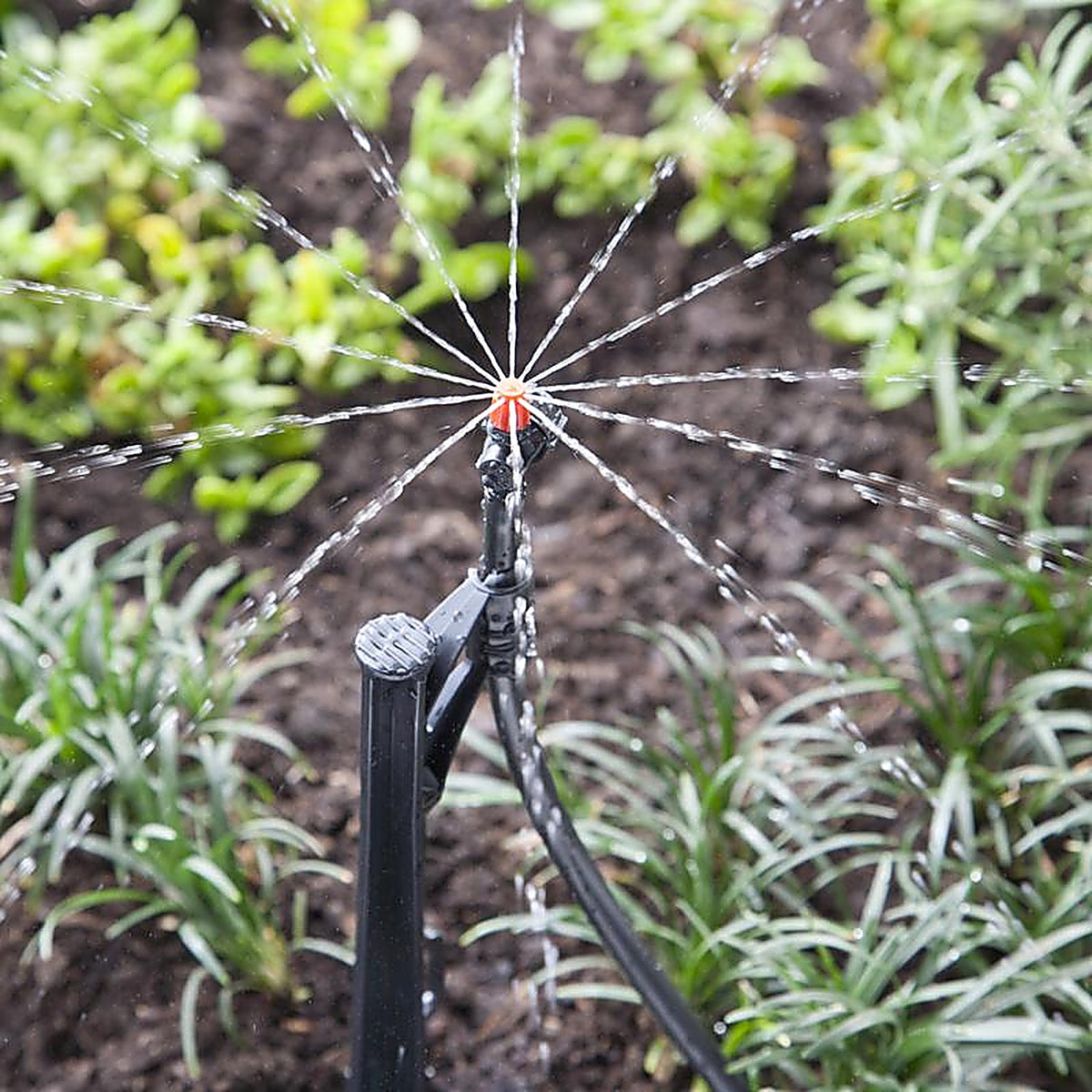 Raindrip R180CT Full-Circle Drip Irrigation Micro Spray 20 gph