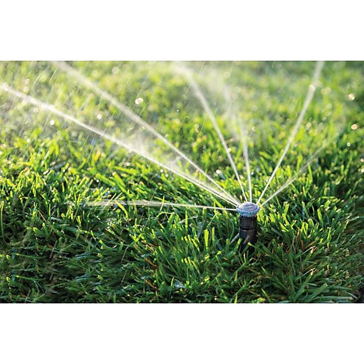 Rain Bird - 14RNVAPRO - Plastic 14 Ft. Adjustable Rotary Nozzle