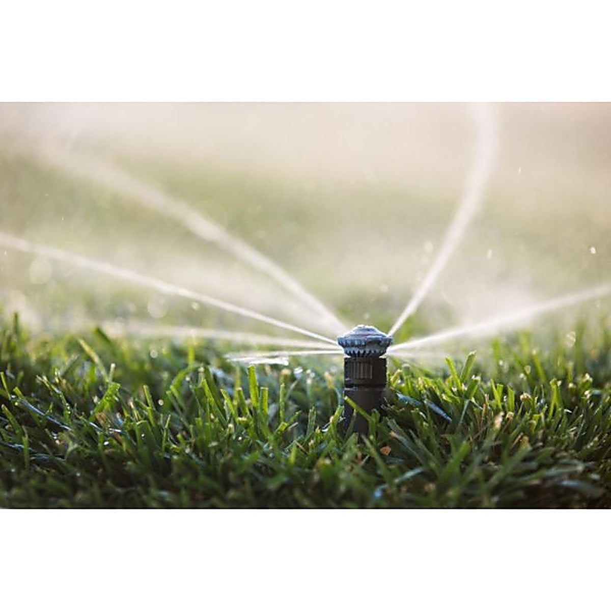 Rain Bird - 14RNVAPRO - Plastic 14 Ft. Adjustable Rotary Nozzle