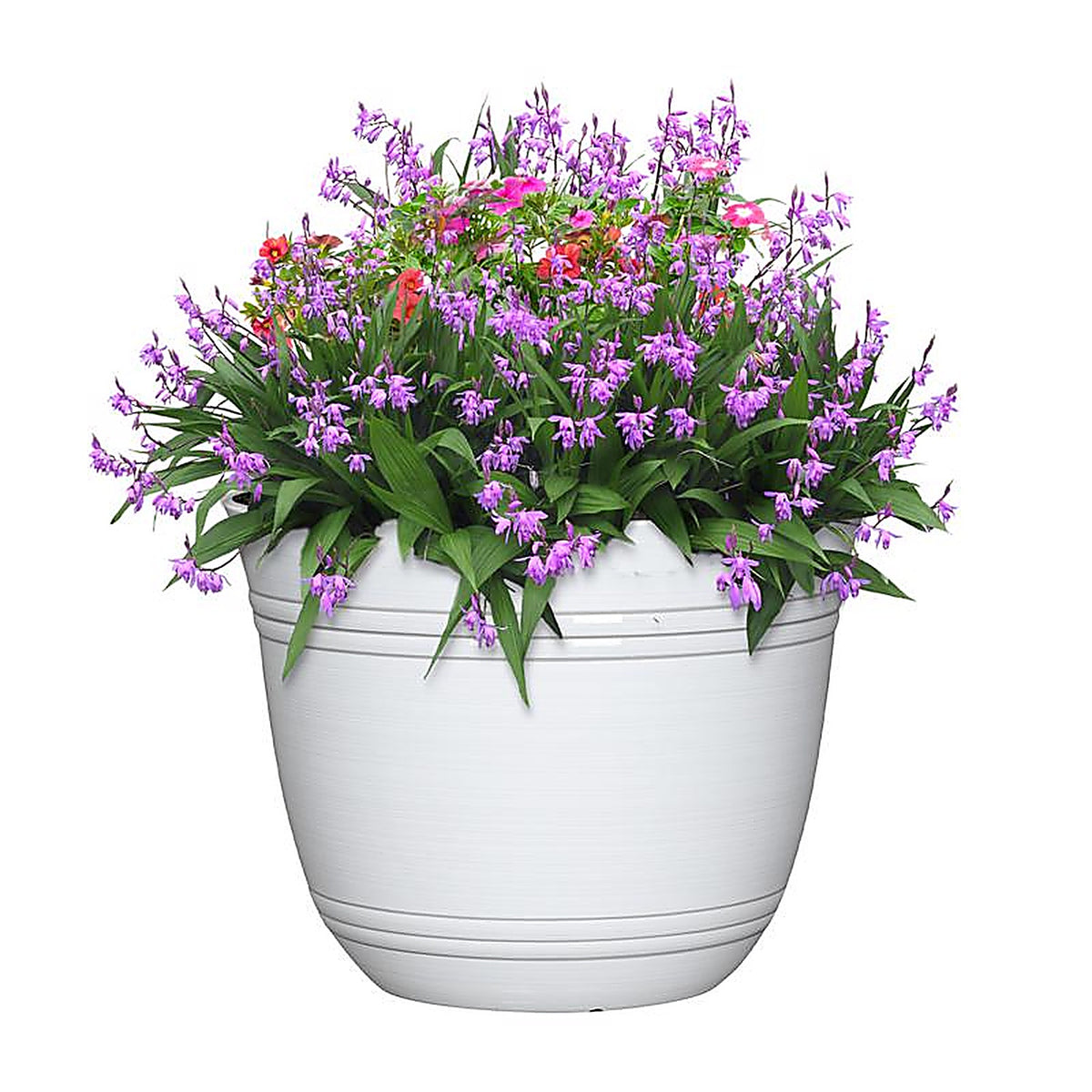 L&G Solutions - PVH0115BWI - L&g 11 In. H X 14.5 In. W X 14.5 In. D X 14.5 In. D Polyresin Galileo Planter White