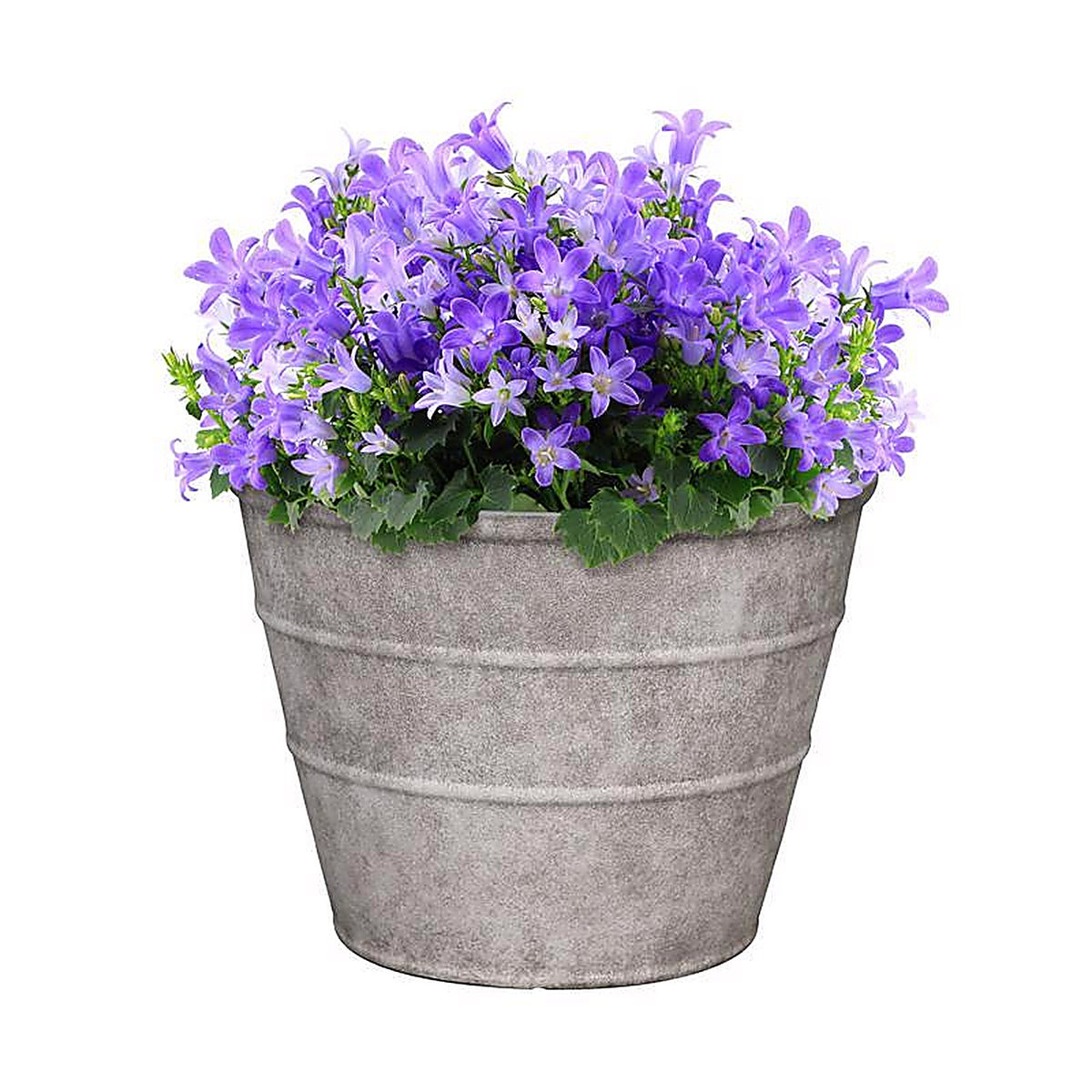 L&G Solutions - PVF5116TSI - L&g 12 In. H X 16 In. D Polyresin Hamilton Planter Stone