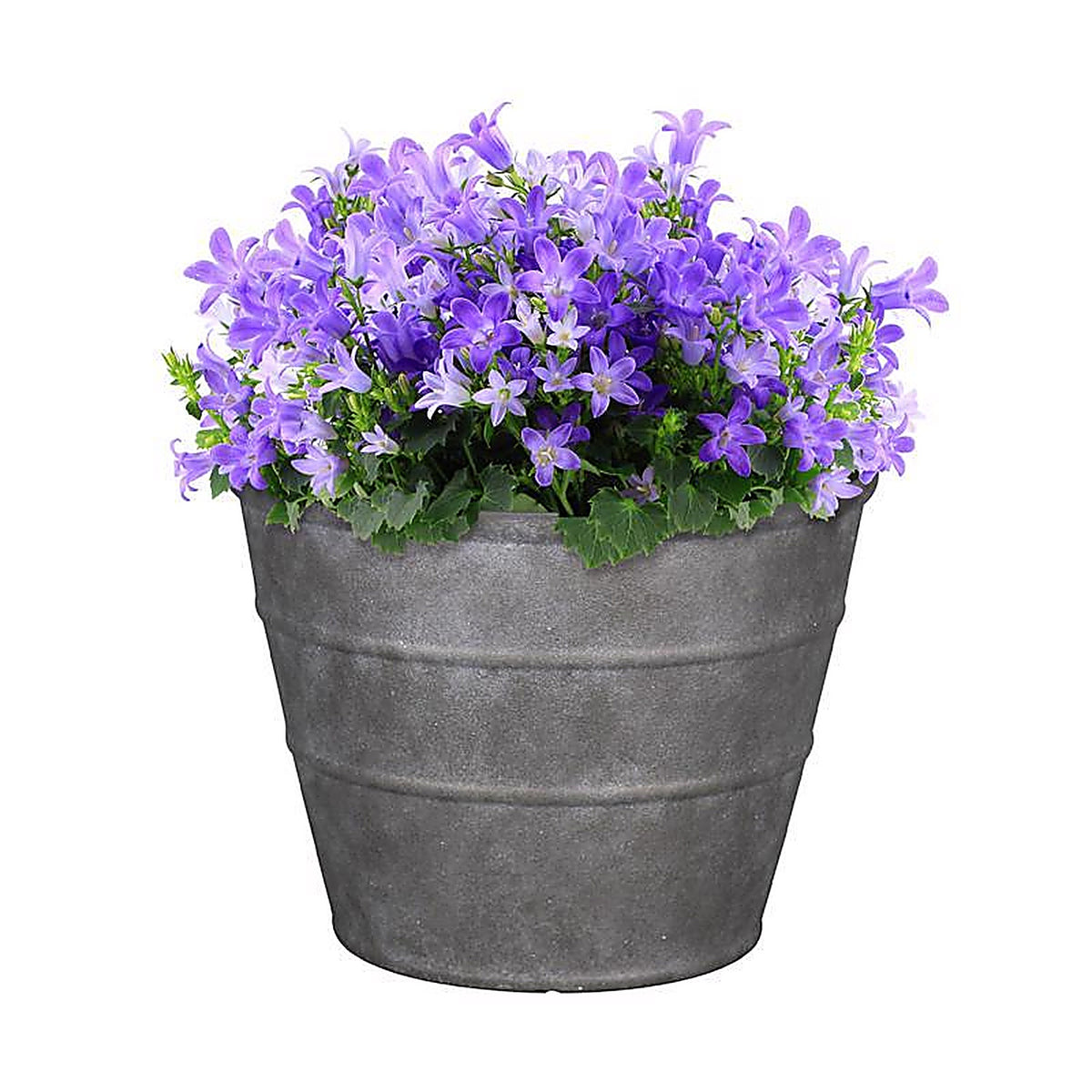 V - PVF5116TCI - 12 In. H X 16 In. D Polyresin Hamilton Planter Charcoal