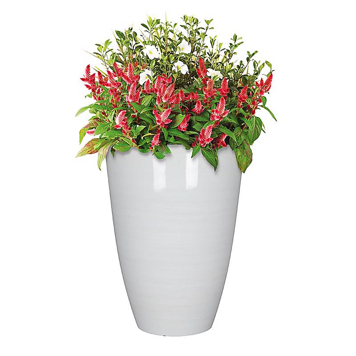 L&G Solutions - PVD9016DWI - L&g 22 In. H X 16 In. D Polyresin Baja Planter White