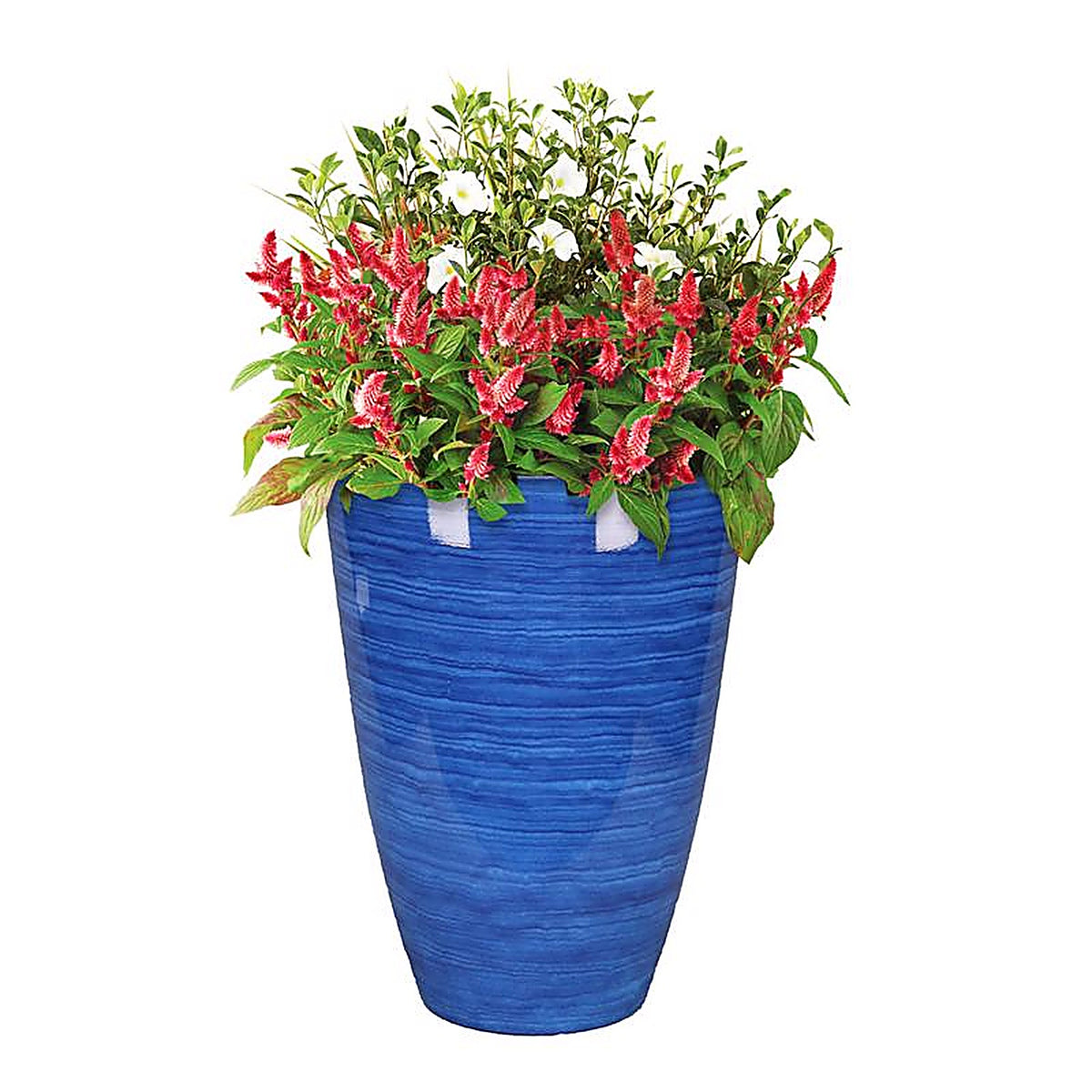 L&G Solutions - PVD9016DBI - L&g 22 In. H X 16 In. D Polyresin Baja Planter Cobalt
