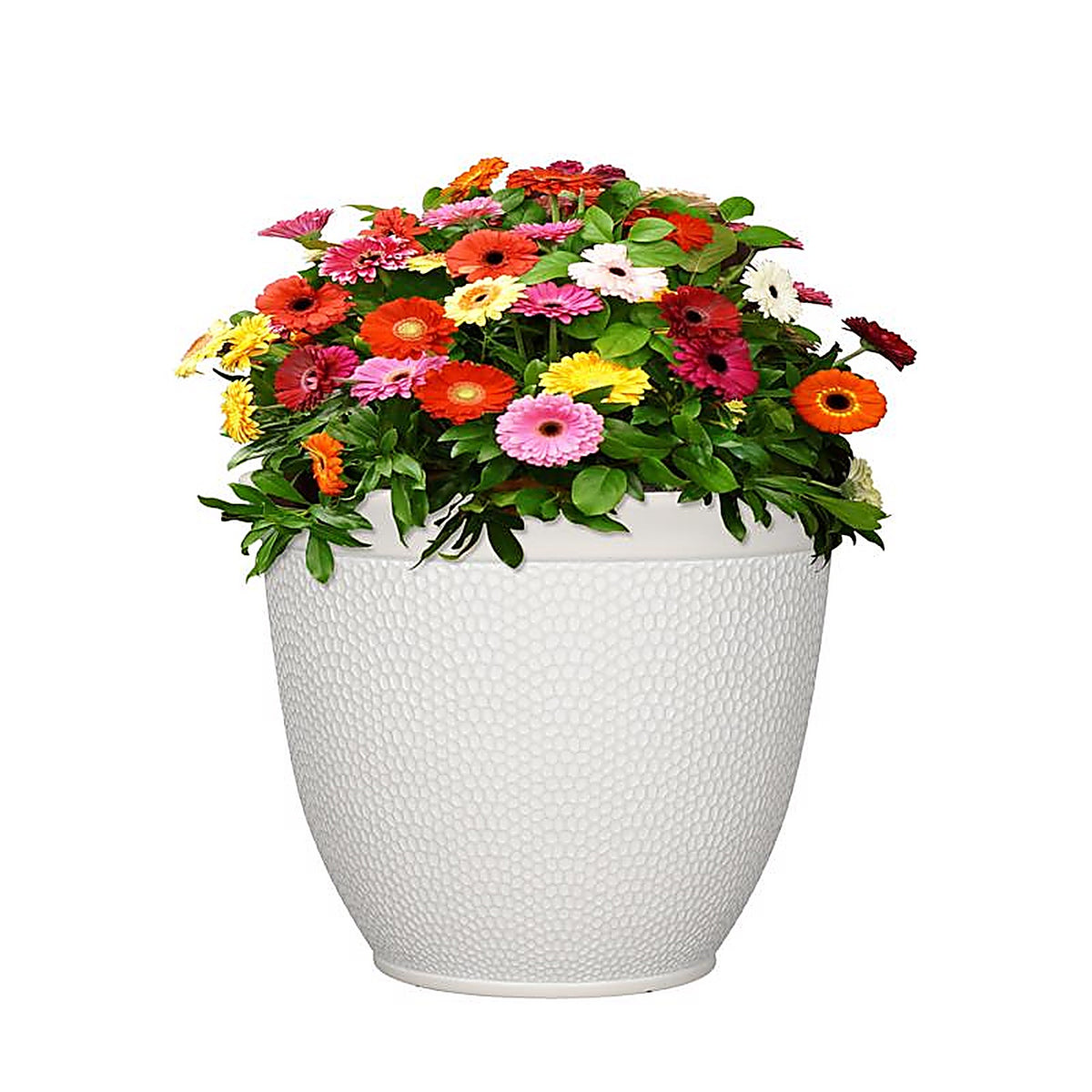 L&G Solutions - PVI4616TWI - L&g 13 In. H X 16 In. D Polyresin Shea Planter White