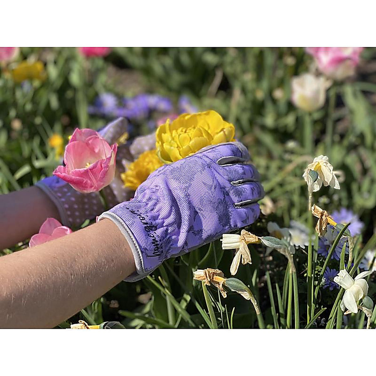 Watson Gloves - 204-M - Sparrow M Spandex Sparrow Purple/Grey Gardening Gloves