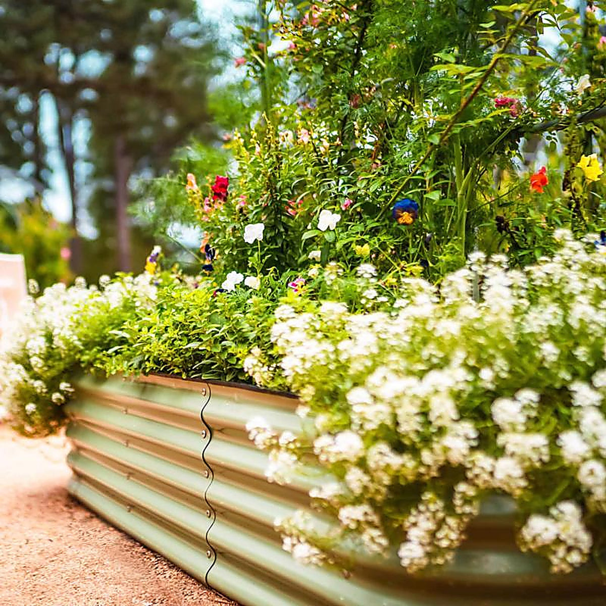 Vego Garden - VB6N117G - 17 In. H Metal 6 in 1 Raised Garden Bed Olive Green