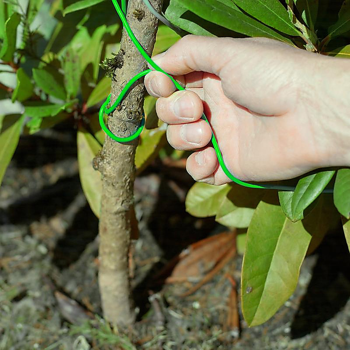 Panacea - 86855 - Green Coated Wire Plant Tie