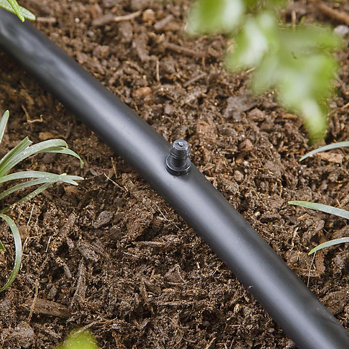 Raindrip 646050B Drip Irrigation Hole Plug 1 in. L 50/Pack