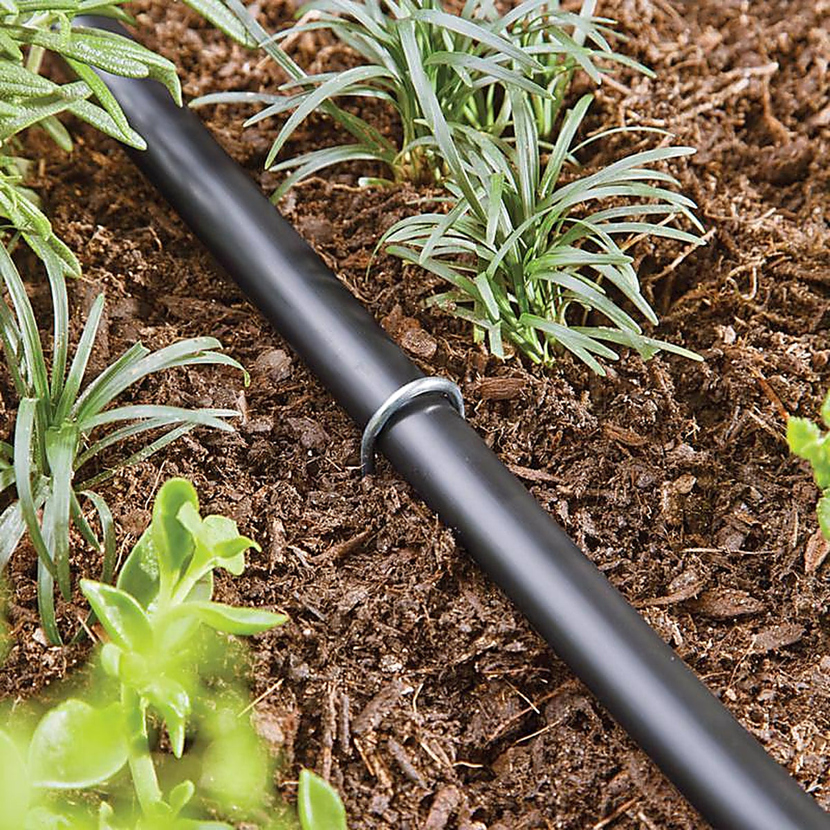 Raindrip 397015B Drip Irrigation Tubing Stake 8 in. L 15/Pack