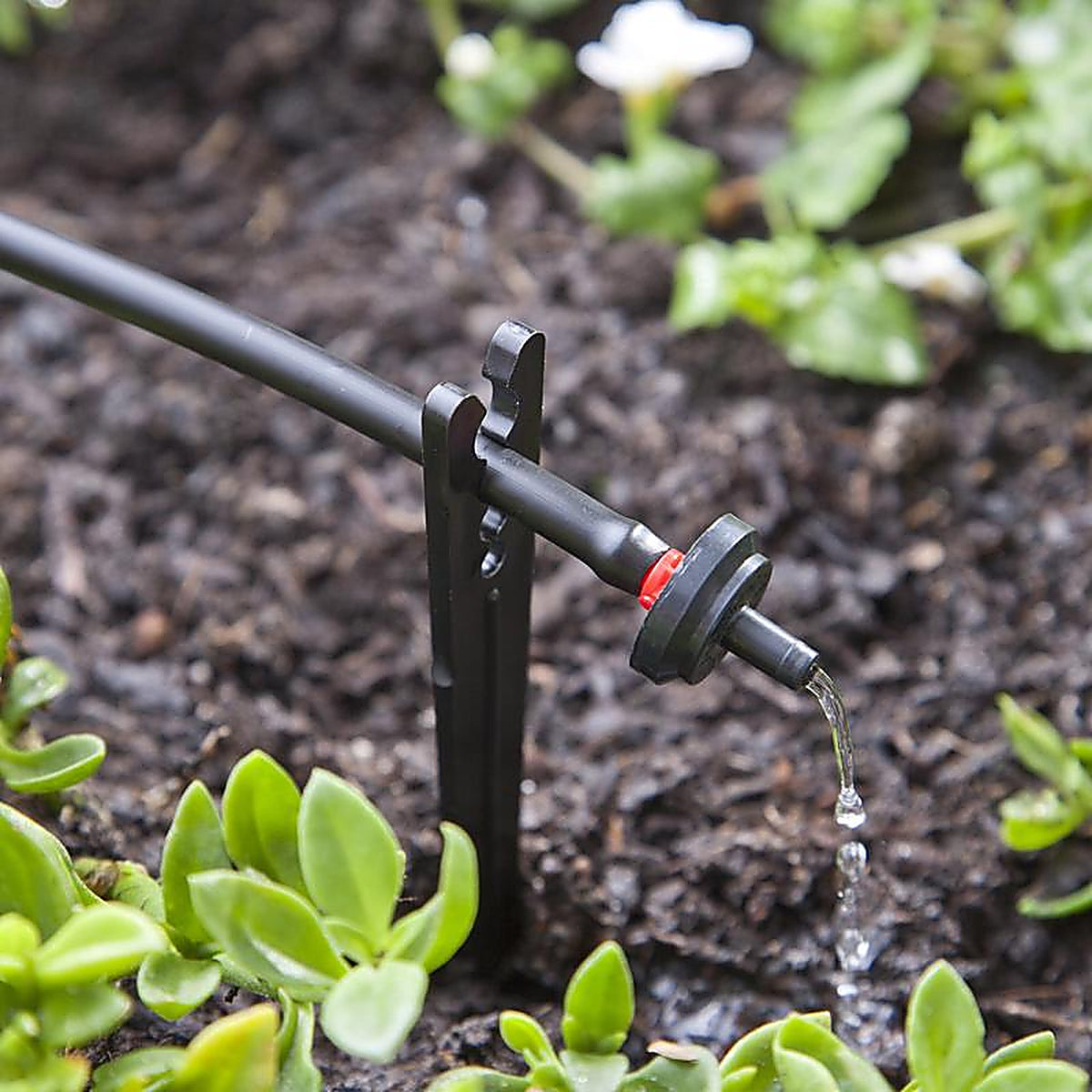 Raindrip PC2025B Spot Drip Irrigation Dripper 0.5 gph