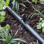 Raindrip 121025B Spot Drip Irrigation Dripper 1 gph