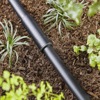 Raindrip 345G00UB Compression 5/8 in. Drip Irrigation Coupler 1/Pack