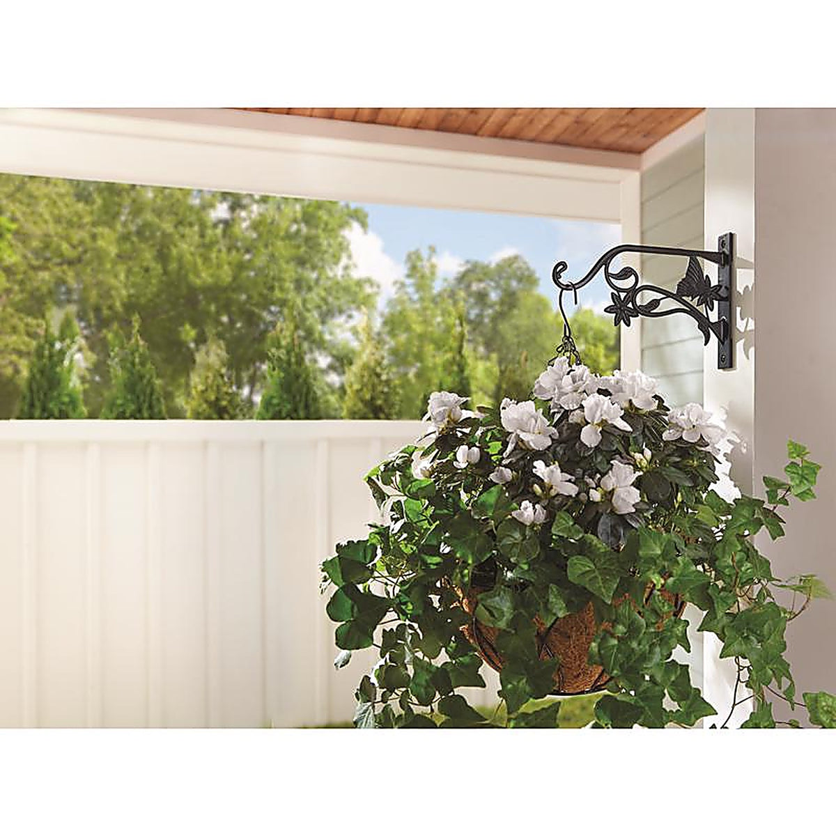 Living Accents - 58028 - Black Aluminum 9 In. H Butterfly Plant Hook 1 Pack