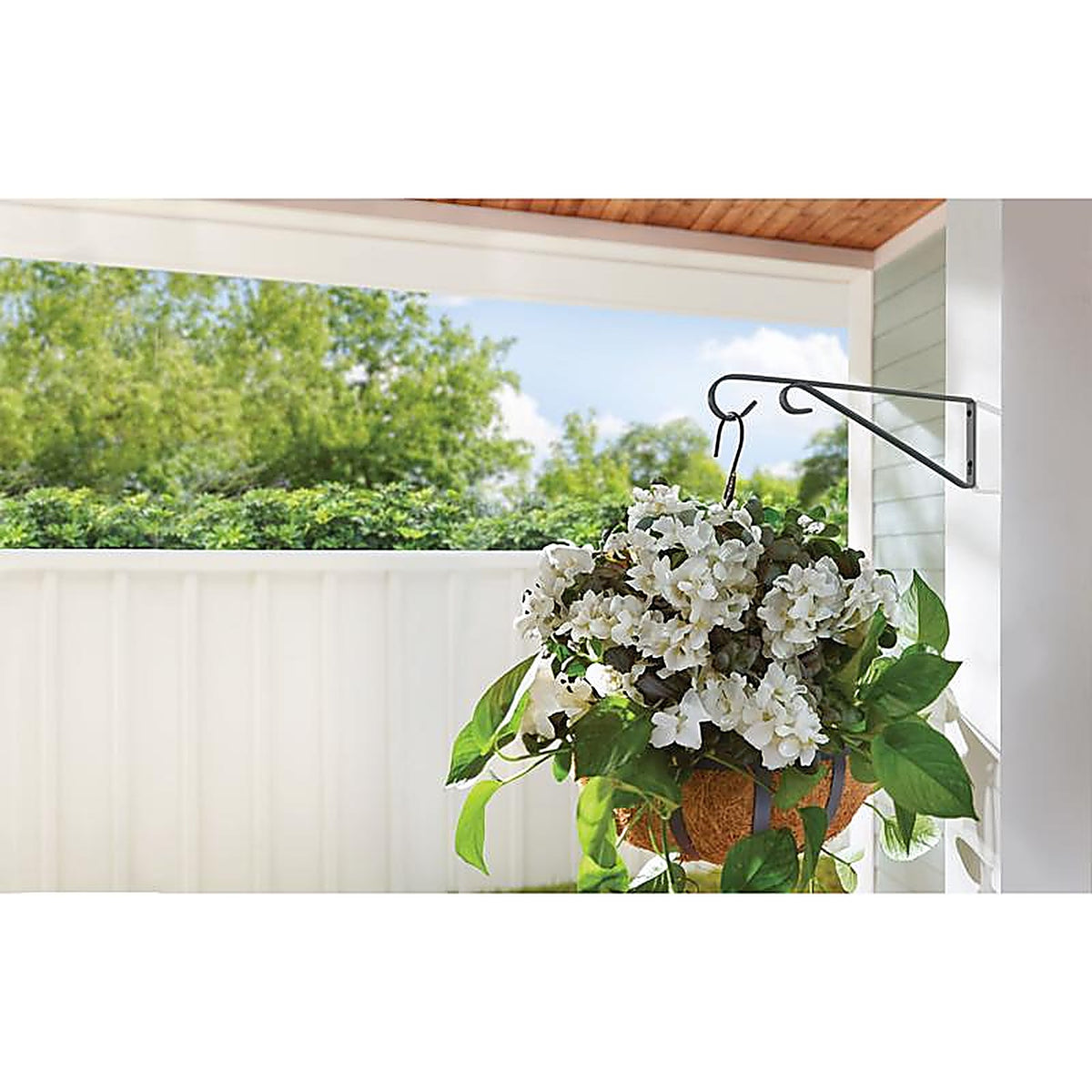 Living Accents - 58017 - Black Steel 9 In. H Straight with Loop Plant Hook 1 Pack