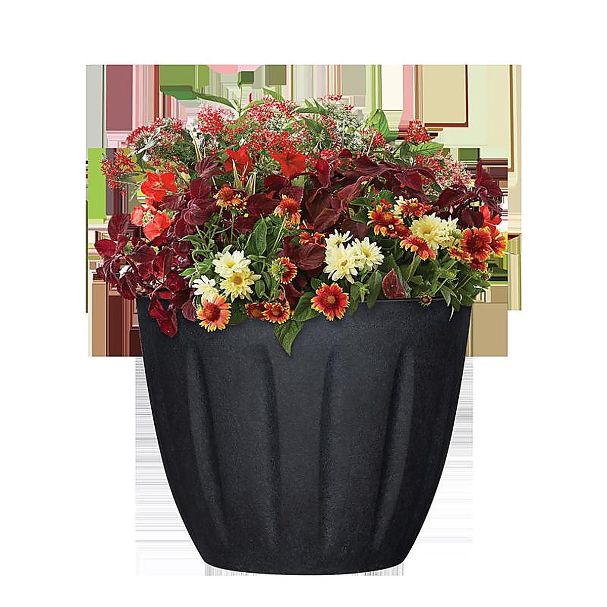 L&G Solutions - PVI8012TKJ - L&g 9.6 In. H X 12 In. W X 12 In. D X 12 In. D Polyresin Spritzer Planter Black