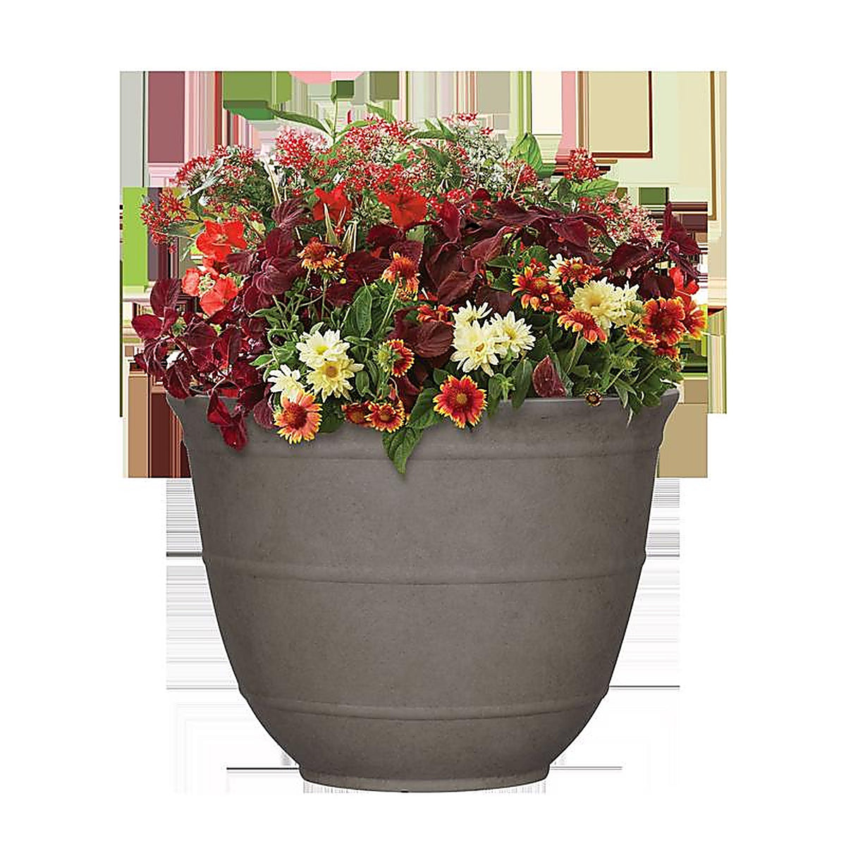 L&G Solutions - PVJ6312SMJ - L&g 9.6 In. H X 12 In. W X 12 In. D X 12 In. D Polyresin Brighton Planter Mocha